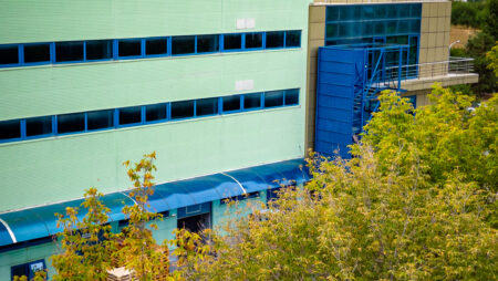 Remedia își consolidează profitabilitatea în S1 2025, obținând rezultate consolidate robuste și întărindu-și reziliența financiară